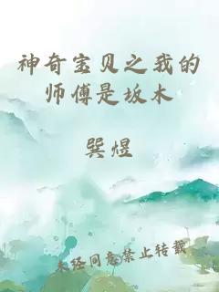 神奇宝贝之我的师傅是坂木