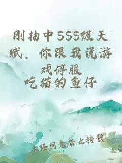 刚抽中SSS级天赋，你跟我说游戏停服